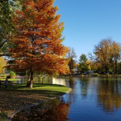 Apartment & Ferienwohnung Bad Hersfeld