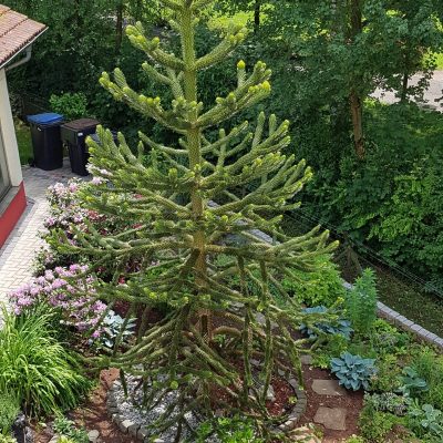 Apartment & Ferienwohnung Bad Hersfeld